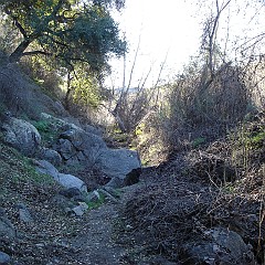 trail next to Santa Margarita River